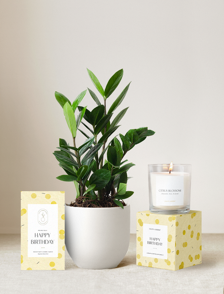 Happy Birthday Plant Gift Set