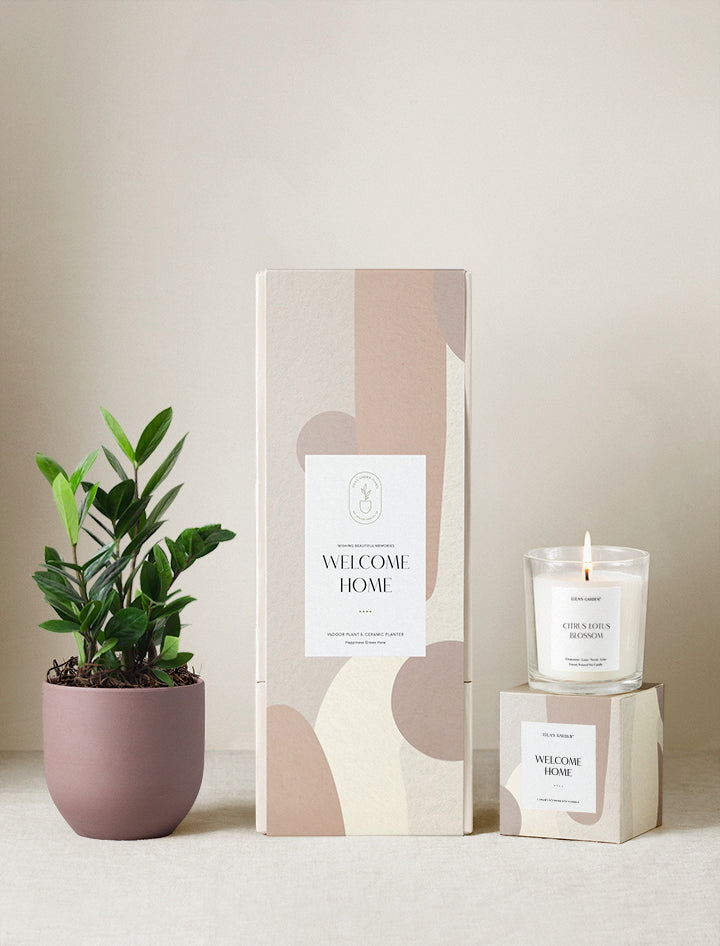 Welcome Home Plant Gift Set