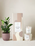 Welcome Home Plant Gift Set