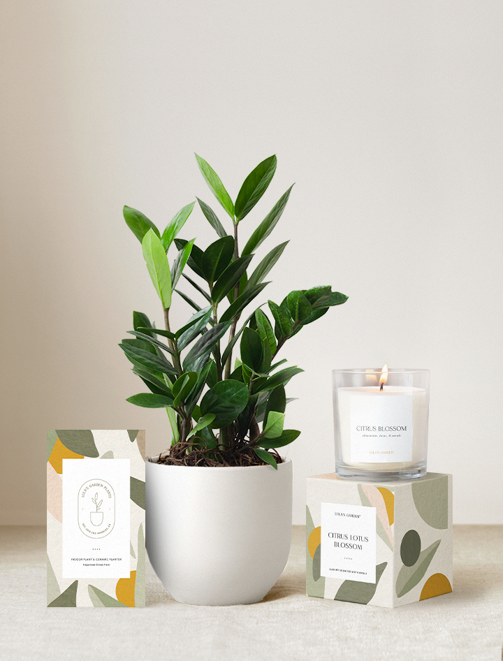 Lula's Garden Plant Gift Set