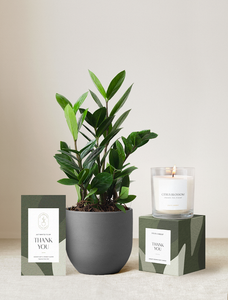 Thank You Plant Gift Set