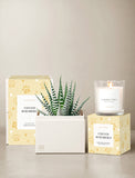 Furever Remembered Petite Gardens & Scented Candle - Image 