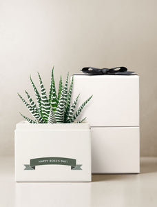 Boss's Day Petite Zebra Garden Gift Set