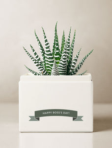 Boss's Day Petite Zebra Garden