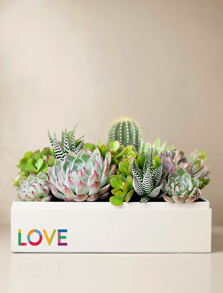 Pride Lush Garden