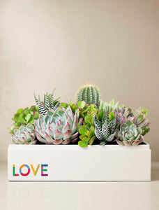 Pride Lush Garden