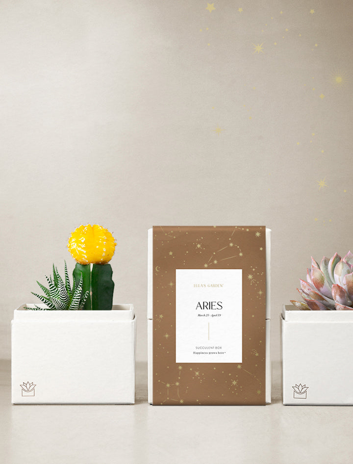 Astrology Gifts | Aries Zodiac Sign Gifts | Birthday Gifts