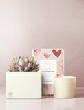 Valentine's Day Gift Set
