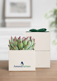 OnGift // AssuredPartners // Petite Garden // IL + PC