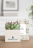 OnGift // AssuredPartners // Petite Garden // IL + PC