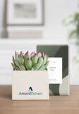 OnGift // AssuredPartners // Petite Garden // IL + PC