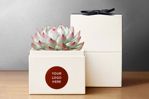 Branded Bliss Garden
