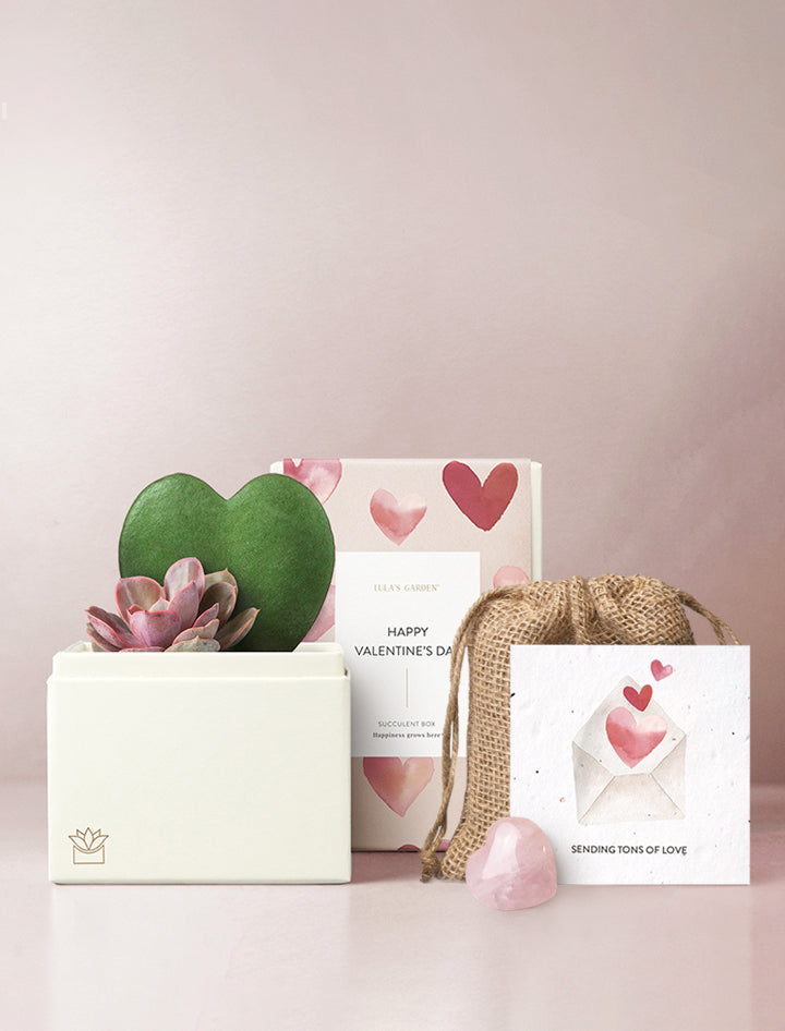 Gift set for Valentine's Day.