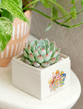 Strawberry Shortcake & Friends Garden