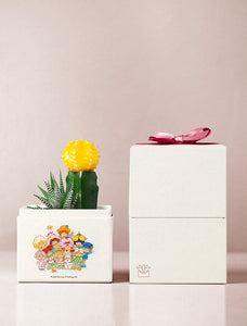 Strawberry Shortcake & Friends Garden