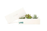 Succulents in gift box with company logo.