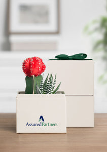OnGift // AssuredPartners // Petite Garden // IL + PC