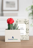 OnGift // AssuredPartners // Petite Garden // IL + PC