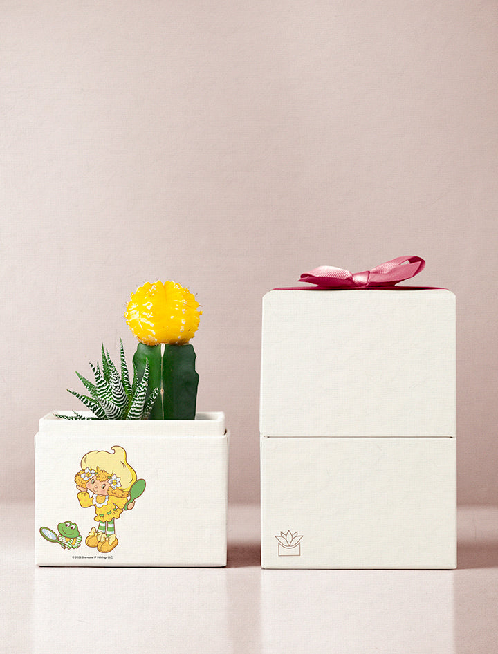 Lemon Meringue Garden