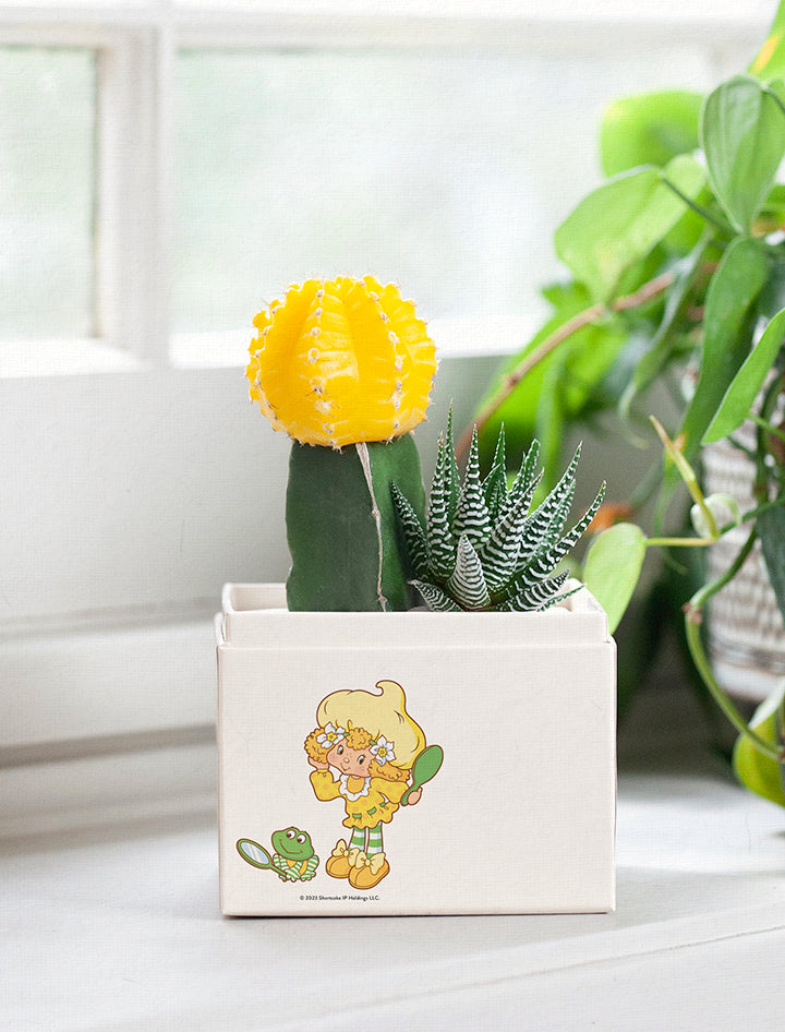 Lemon Meringue Garden