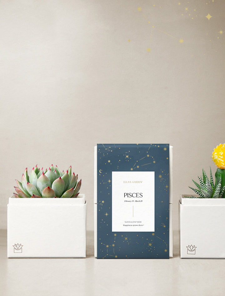 Astrology Gifts | Pisces Zodiac Sign Gifts | Birthday Gifts