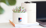 Succulent in gift box with company logo.