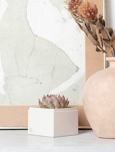 Succulent in gift box next to artwork and vase.