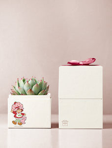 Strawberry Shortcake Garden