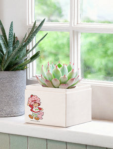 Strawberry Shortcake Garden