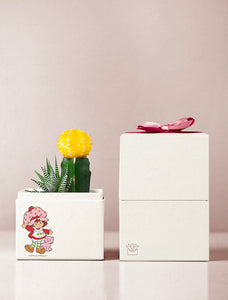 Strawberry Shortcake Garden
