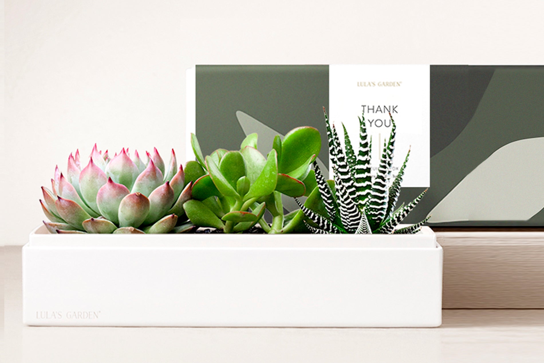 Thank You Verdant Garden