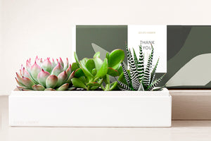 Thank You Verdant Garden