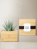 Bamboo Petite Zebra Garden Gift Set - Thank You