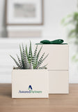 OnGift // AssuredPartners // Petite Garden // IL + PC