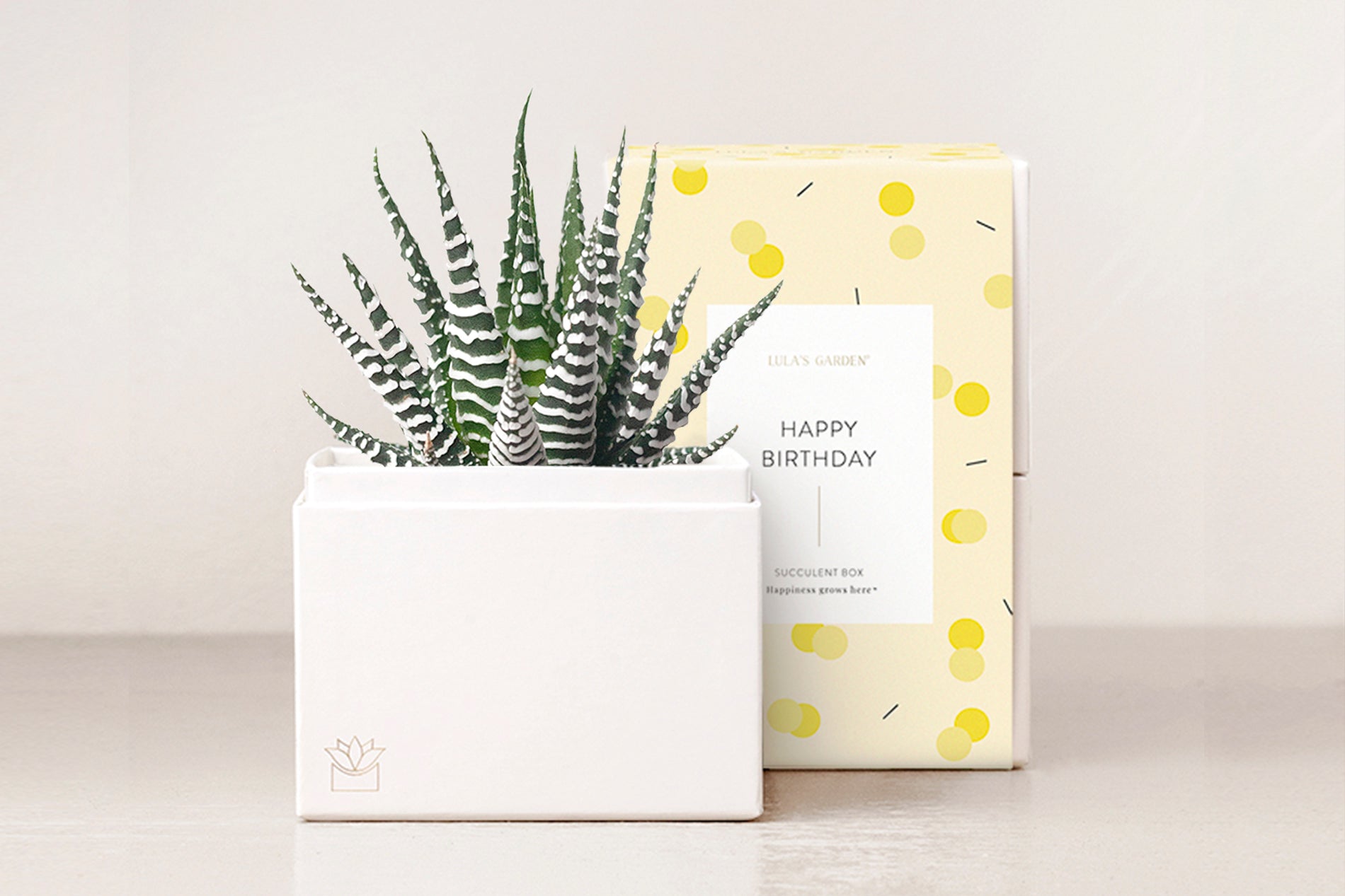 Birthday Petite Zebra Garden
