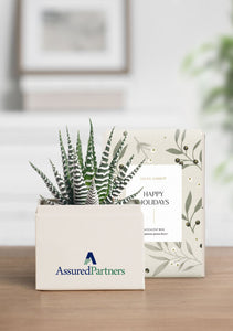 OnGift // AssuredPartners // Petite Garden // IL + PC