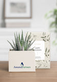 OnGift // AssuredPartners // Petite Garden // IL + PC