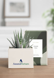 OnGift // AssuredPartners // Petite Garden // IL + PC