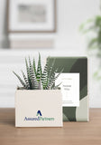 OnGift // AssuredPartners // Petite Garden // IL + PC