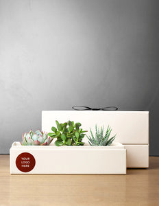 Jewel Garden